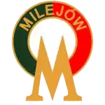 Tur Milejow