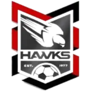 Холланд Парк Хавкс