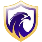 Falcon FC