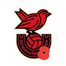 Bridgwater United (Nữ)