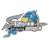 Shimane Susanoo Magic