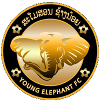 Young Elephant