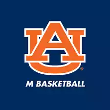 Auburn Tigers
