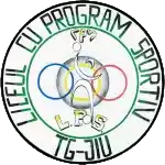 Targu Jiu U19