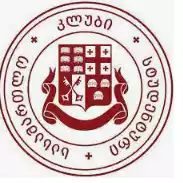 Ilia State University