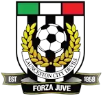 Launceston City FC 2