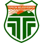 Tepecik B.S.