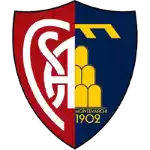Montevarchi Calcio Aquila 1902