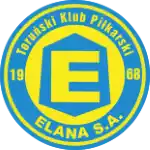 Elana Torun
