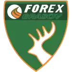 Forex Brasov