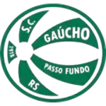 Гаучо Пассо Фундо (20)