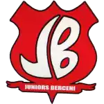 team_logo