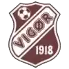 Vigor U19