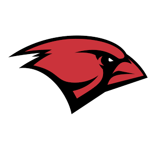 Cardinals vs Falcons live score & H2H