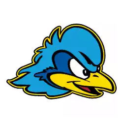Delaware Fightin' Blue Hens (F)
