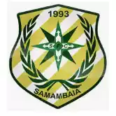Samambaia