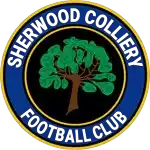 Sherwood Colliery