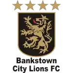 Bankstown City FC