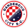 Dandenong City U20