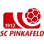 Pinkafeld