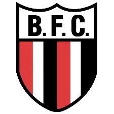 Ботафого Рибейро-Прету (20)