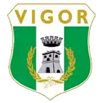 Vigor Lamezia
