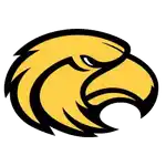 Южный Миссисипи Голден Иглз