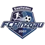 Pinzgau Saalfelden