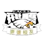 Chongde Flying Eagle