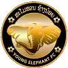 Young Elephant