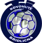 Bridlicna