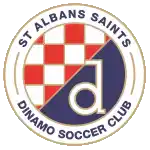 ST Albans Saints Dinamo SC  U23