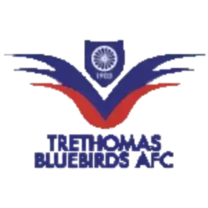 Trethomas Bluebirds