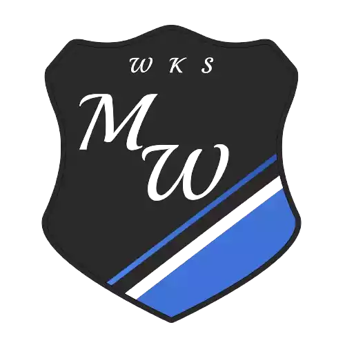team_logo
