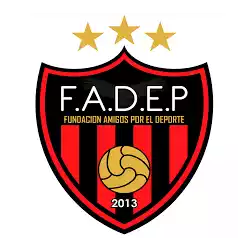 Fundacion Amigos