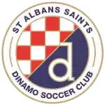 St Albans Saints