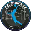 Foinikas Alexandroupolis (Ж)