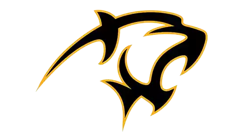 Đội bóng rổ nữ Adelphi Panthers