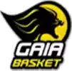 FC Gaia U23
