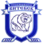 ХК Витебск