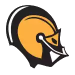 Đội nữ Gannon Knights