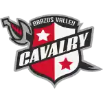 Binh đoàn Cavalry Brazos Valley