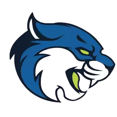 Bryant And Stratton Bobcats