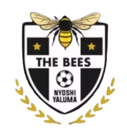 The Bees FC