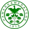 HamKam U19