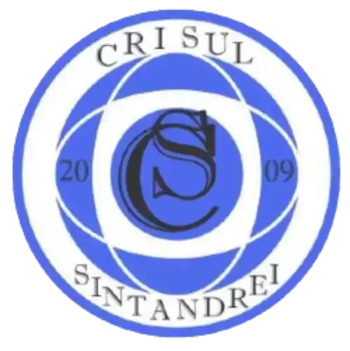 CS Sinandrei Carani