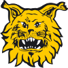 Ilves II (Women)