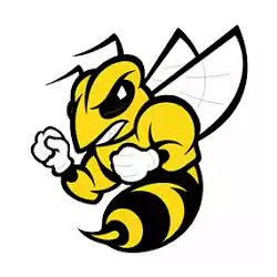 Randolph Macon Yellow Jackets
