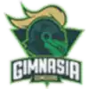 Gimnasia y Esgrima