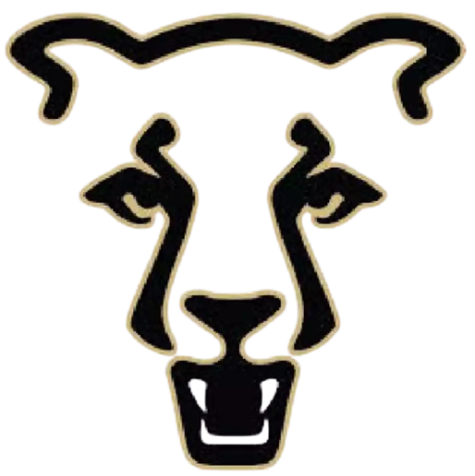 Colorado Springs Mountain Lions (Women)